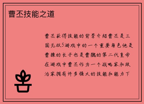 曹丕技能之道