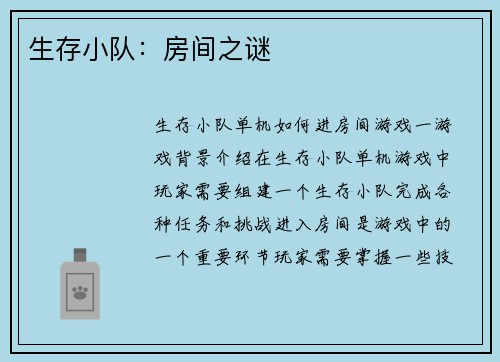 生存小队：房间之谜